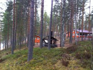 RastinniemiKultajärvi Holiday Home的树林中的一个小屋