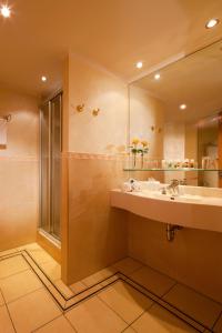 巴特利普施普灵格Vital Hotel Westfalen Therme Wellness Resort & SPA的一间带水槽和淋浴的浴室