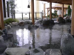 横滨横滨港未来万叶俱乐部酒店的一座建筑里一片岩石水
