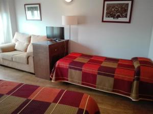 Castañares de Rioja老板旅馆的客厅配有沙发和1张床