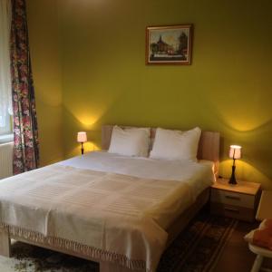 弗尔尼亚奇卡矿泉镇斯维特拉娜旅馆的一间卧室配有一张带绿色墙壁的床和两盏灯。
