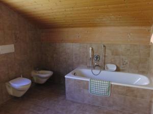 拉古多加尼安德莱特酒店的带浴缸和卫生间的浴室。