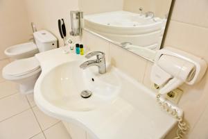基希讷乌Bed & Breakfast Olsi的一间带水槽、卫生间和镜子的浴室
