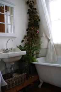 昂古莱姆盖尔别墅住宿加早餐旅馆的浴室设有水槽和植物浴缸