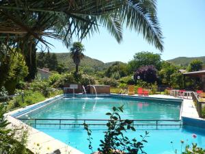 拉库布蕾Hosteria Pastoral & Spa的一座位于山间度假村内的游泳池