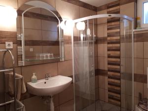 布达厄尔什布道尔斯迷你酒店的一间带水槽和淋浴的浴室