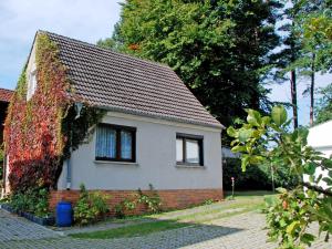 巴贝Ferienwohnungen im Ostseebad Baabe的常春藤覆盖的小房子
