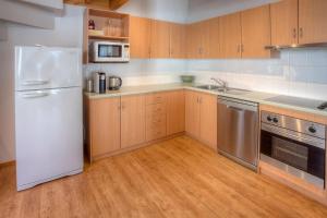 丁诺高原德罗维斯休闲度假屋的厨房配有白色冰箱和木制橱柜。