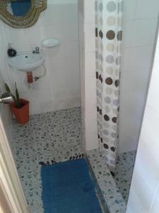 锡基霍尔切莱背包客旅馆的浴室配有淋浴帘和盥洗盆。