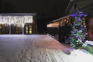 托木斯克Sloboda的灯火通明的建筑前的圣诞树