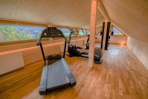 魏森湖菲里恩霍夫奥博加瑟尔贝格布里克酒店的健身房设有两个跑步机和一个跑步机