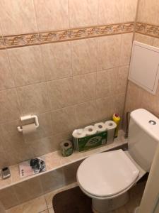 Vysoke Tatry - Horny SmokovecApartmán pod Gerlachovským štítom的一间带卫生间和卫生纸分配器的浴室