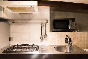 都灵Mono Verde的厨房配有炉灶、水槽和微波炉
