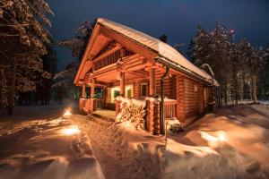 霍萨Lampiranta Log cabin的雪中的一个小木屋