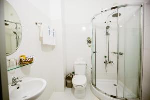 芽庄平阳酒店 的带淋浴、卫生间和盥洗盆的浴室