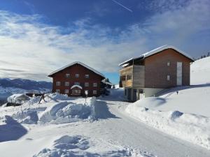 苏尔茨贝格Ferienhof Feurle的雪中的一些建筑物