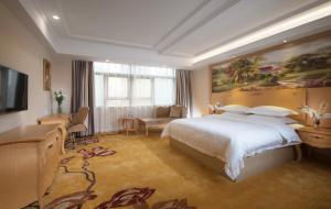 深圳格林豪泰深圳东门商务酒店的一间卧室配有一张大床和电视