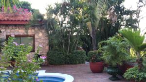 阿卡普尔科Casa Costera Miguel Alemán的一座种植了植物的花园,一座房子前面设有一个游泳池