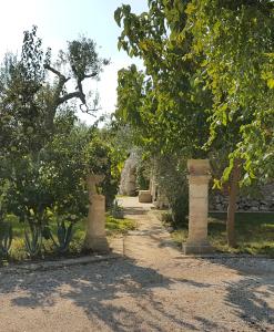 马尔塔诺Masseria Sucéa的花园里一排有混凝土柱的树木