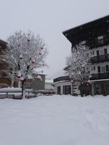 圣马蒂诺-迪卡斯特罗扎加尼苏西酒店的两棵树,雪上装饰着圣诞花