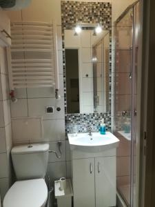 琴斯托霍瓦Studio Aleja 77的一间带卫生间、水槽和镜子的浴室