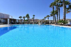 纳乌萨巴罗斯天空酒店的一个种有棕榈树的大型蓝色游泳池