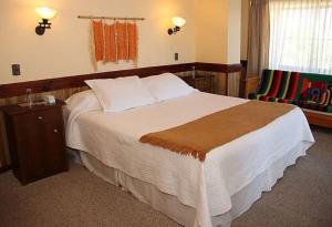 瓦尔迪维亚恩肯托德尔德里奥酒店的酒店客房带一张大床和一把椅子