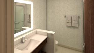 沃尔顿堡滩Holiday Inn Express - Fort Walton Beach Central, an IHG Hotel的一间带水槽、卫生间和镜子的浴室