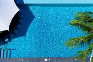 科苏梅尔Coral Princess Hotel & Dive Resort的享有游泳池的顶部景色,游泳池拥有棕榈树