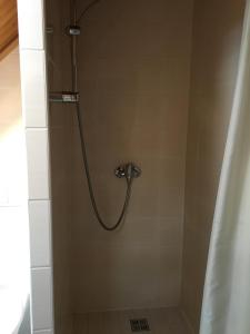 利贝雷茨捷克查鲁帕旅馆的浴室内配有淋浴帘。