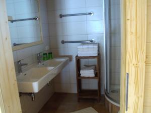 海利根布卢特Ebner Casa的一间带水槽、镜子和淋浴的浴室