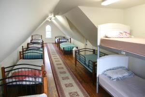 艺术楼旅舍客房内的一张或多张双层床