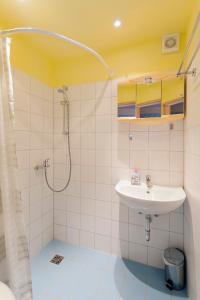 Madfeld威尔克布鲁腾霍夫旅馆的一间带水槽和淋浴的浴室