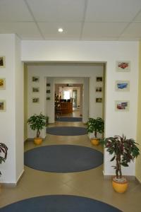 Gönyů莱尔商务酒店的建筑里带有蓝色地毯和植物的走廊