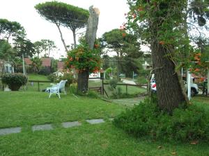 格塞尔镇Lomita Gesell的坐在树旁的草上的一个白色长凳