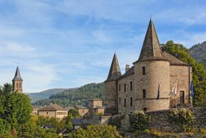 弗洛拉克Logis Hotel Restaurant des Gorges du Tarn的一座古老的城堡,山上有两个塔楼