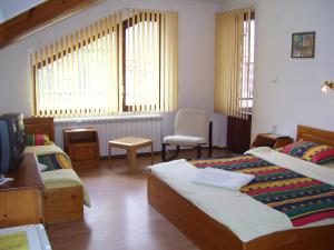 班斯科拉霍夫酒店 的一间酒店客房,设有两张床和电视
