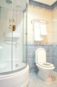 克拉列沃波提卡酒店的一间带卫生间和淋浴的浴室