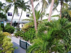 拿骚天堂岛湾景套房度假村的棕榈树公园,长凳和建筑