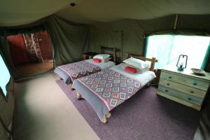 AlldaysKaoxa Bush Camp的一间帐篷内带两张床的卧室