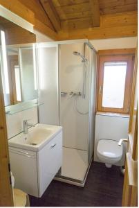 StamsriedBlockhaus Bayerischer Wald的带淋浴、盥洗盆和卫生间的浴室