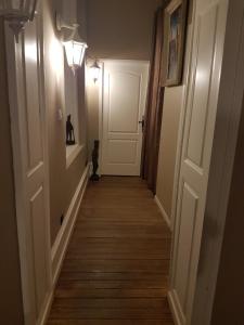 埃皮纳勒Appartement Mayolles的门的尽头有一只猫的走廊