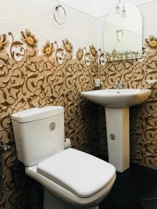 阿努拉德普勒Treasure House Tourist Rest的一间带卫生间和水槽的浴室