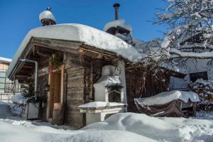 瓦格赖恩Aparthotel Steger Wagrain的雪覆盖的小屋,有雪覆盖的屋顶