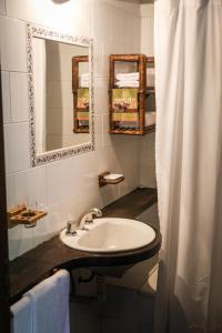 科洛尼亚卡洛斯佩莱格里尼Aguapé Lodge的浴室设有水槽、镜子和浴帘
