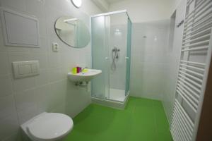 特普利采Best apartments Teplice的带淋浴、卫生间和盥洗盆的浴室