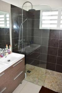 努美阿Bas de villa Noumea的带淋浴、盥洗盆和浴缸的浴室