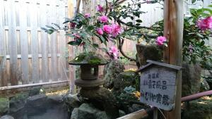 山之内町御宿依希亚寅藏酒店的花园,花园内有鸟儿浴和粉红色的花朵