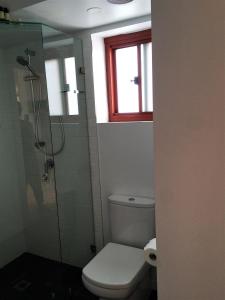 拜伦湾拜伦海滩公寓的一间带卫生间和淋浴的浴室以及窗户。