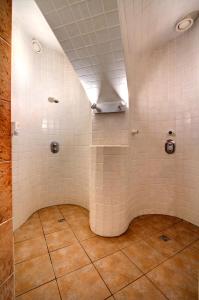 布拉格希翠诺酒店的浴室设有白色瓷砖墙壁和天花板